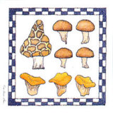 Mushrooms Prints by Karyn Frances Gray