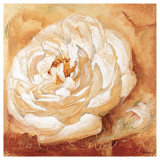 Good Year for the Rose Art by Gabor Barthez