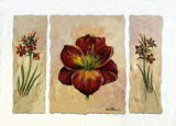 Red Composition in Three Posters by Katharina Schottler Red Composition in Three Posters by Katharina Schottler
