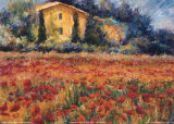 St. Remy Poppies Prints by Linda Lee
