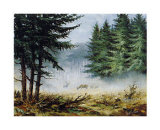 Morning in mist Prints by Reint Withaar