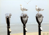 The Onlookers Posters by Marcia Joy Duggan