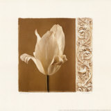 Lumiere II Posters by Amy Melious