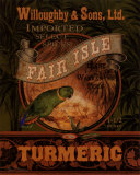 Turmeric  Poster by Pamela Gladding