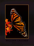 Monarch Prints