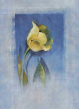 Tulipe jaune Affiches par Matilda Ellison