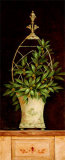 Olivenzweige II (Kleinformat) Kunstdrucke von Pamela Gladding
