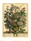 Julio Arte por Robert Furber