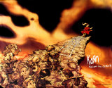 Korn - Follow the Leader Láminas