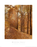 Walking Trail Posters by Barbara Kalhor