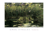 Water Garden Secret Prints by Greg Singley Water Garden Secret Prints by Greg Singley