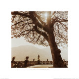 Villa Balbianello L05 Prints by David Orndorf
