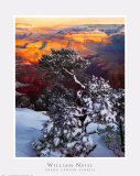 Amanecer en el Gran Cañón Pósters por William Neill