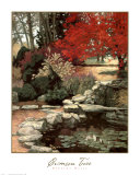 Crimson Tree Prints by Barbara Hails