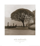 Villa Balbianello Prints by David Orndorf