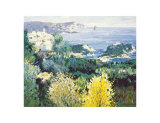 Greek Landscape Posters by Frank Malva