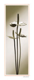 Anthurium Prints by Edoardo Sardano