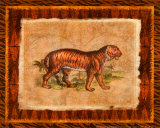 Tiger Posters by Walter Robertson