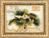West Indies Palm Prints