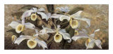 Angel Song Prints by Fangyu Meng