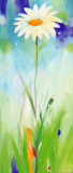 White Daisy Panel Posters by Heinz Voss