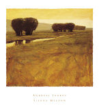 Sienna Meadow Prints by Andrzej Skorut