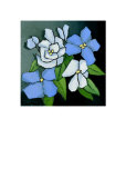 Floral Tribute VI Prints by Hans Paus