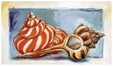Caracolas I Prints by Cruz 