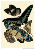 Butterflies I Posters by E. A. Seguy