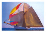 Regatta! III Posters Regatta! III Posters