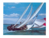 Regatta! IV Print