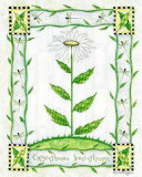 Chrysanthème Posters par Robin Betterley