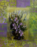 Fines Herbes II Posters by Giancarlo Riboli
