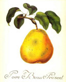 Poire Beau Present Prints