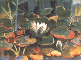 Waterlilies Prints by Karl Schmidt-Rottluff