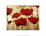 Poppies II Art by Dana Del Castillo