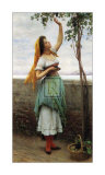 Recolección de uvas Lámina por Eugene de Blaas Recolección de uvas Lámina por Eugene de Blaas