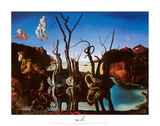 Svaner som gjenspeiler elefanter, ca. 1937 (Swans Reflecting Elephants, c.1937) Plakater av Salvador Dalí Svaner som gjenspeiler elefanter, ca. 1937 (Swans Reflecting Elephants, c.1937) Plakater av Salvador Dalí