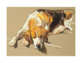 Hound in a Kennel Limitierte Auflage von Andre Pater