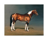 Stanhopes Diddicoy Edition limitée par Susan Crawford
