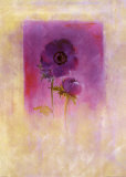 Anémone violette Affiches par Matilda Ellison