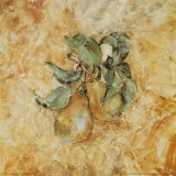 Fruit Frescos II Prints by Jenny Mayfeld