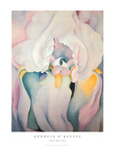 Georgia O'Keeffe - Light Iris 1924 - Tablo Georgia O'Keeffe - Light Iris 1924 - Tablo