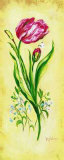 Tulip Prints by Nancy Wiseman