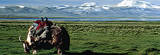 Landscape with Yak Posters
