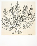 Buisson Affiches van Henri Matisse