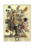 November Print by Robert Furber