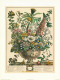 Diciembre Póster por Robert Furber