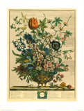 February Posters by Robert Furber