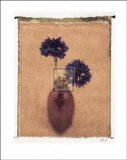 Cornflowers Poster by Scott Morrish